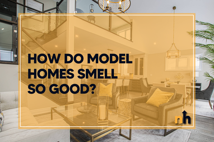 model homes smell good